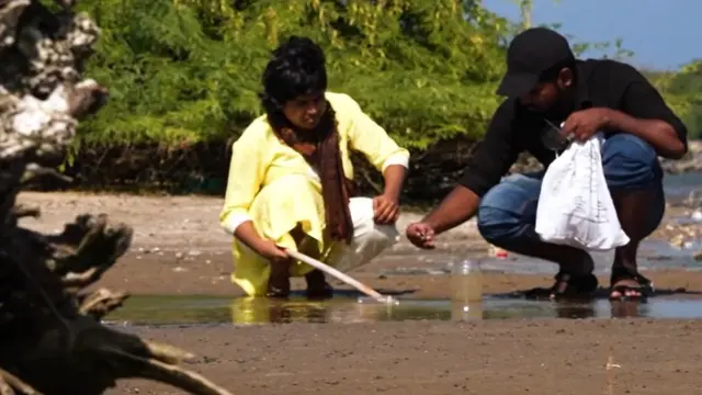 microscopic organisms 1