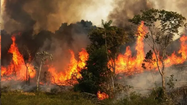 اتش سوزی در آمازون