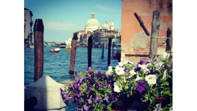 Imagen de un lector de BBC Mundo por el tema "Flores"