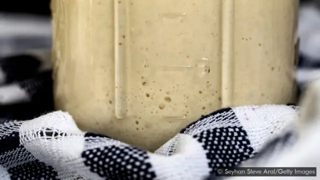 سان فرانسسکو کی ساؤرڈو بریڈ