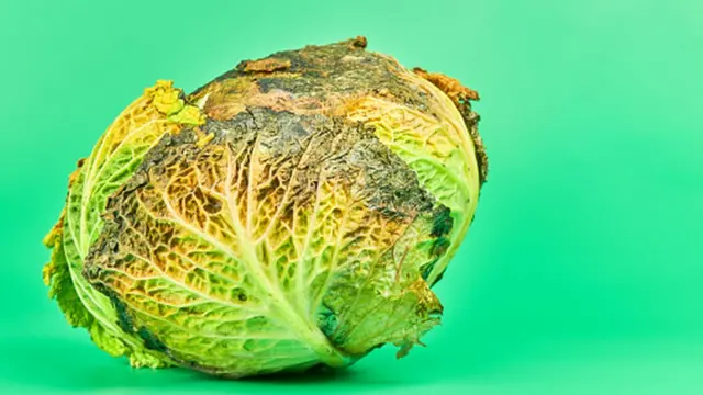 Мозаичный вирус