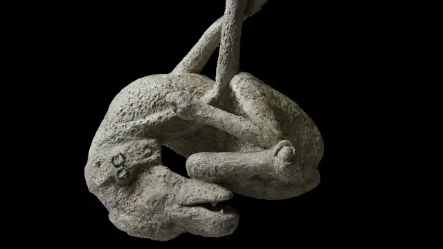 Найденная в Помпеях собака