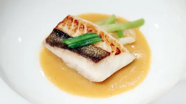 जॉन डोरी मछली