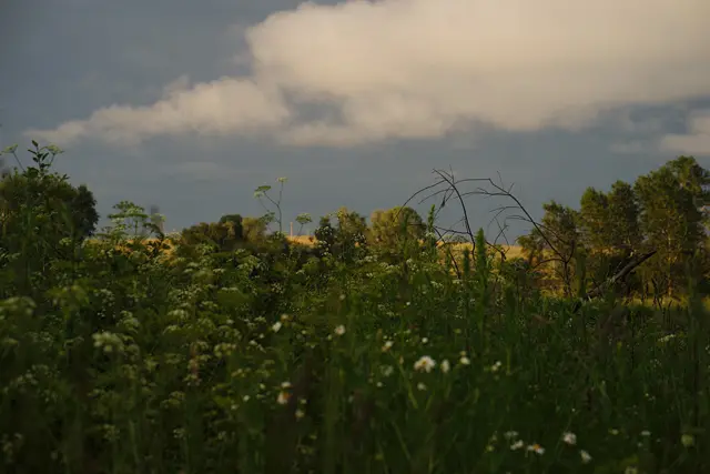 Язычники Урала