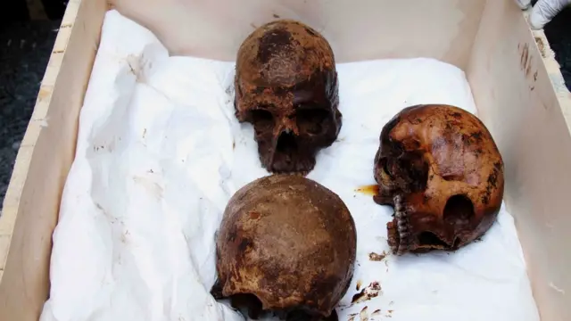 تابوت سے ملنے والی تین کھوپڑیاں