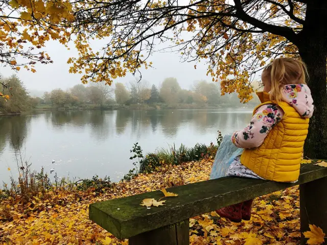 Child on a bench in woods