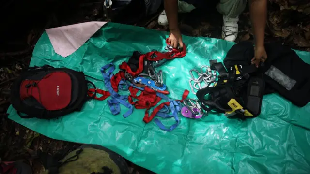 นกเงือก