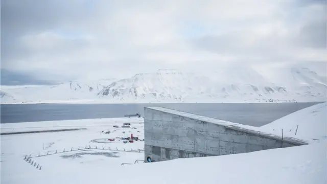 Banco MundialbolaopixbetSementesbolaopixbetSvalbard