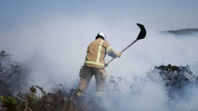 जंगल की आग