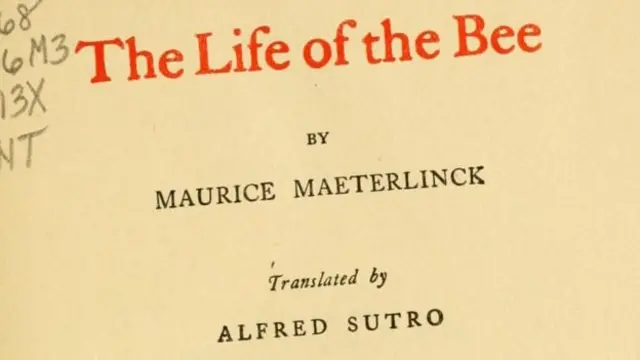 "زندگی زنبور عسل"