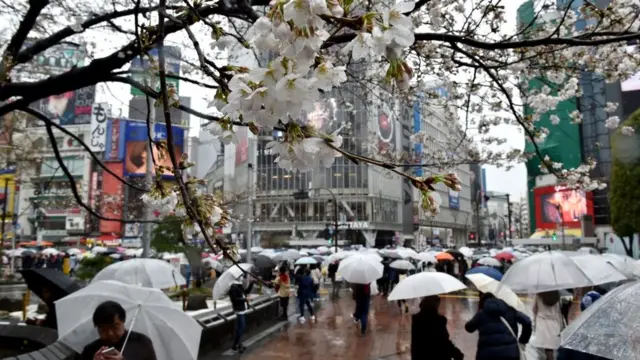 У японцев есть как минимум 20 способов извиниться, но самое распространенное слово - сумимасэн