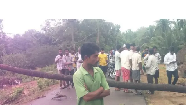 రోడ్డుపై అడ్డంగా కూలిపోయిన కొబ్బరిచెట్టు