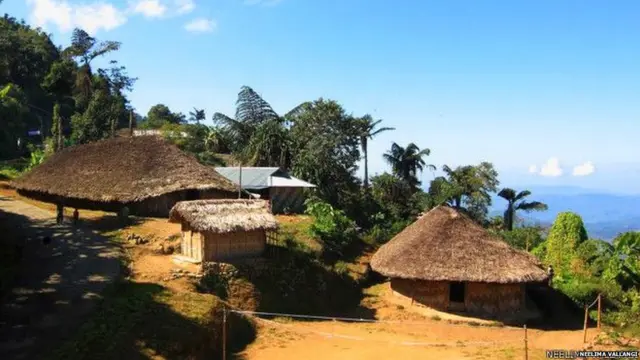 नागालँड