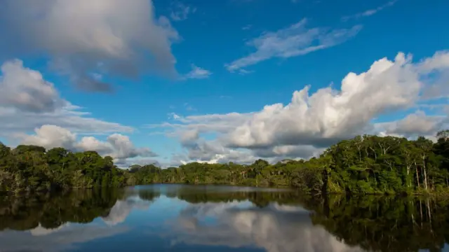 Foto de lago en el Amazonas de Ecuador.