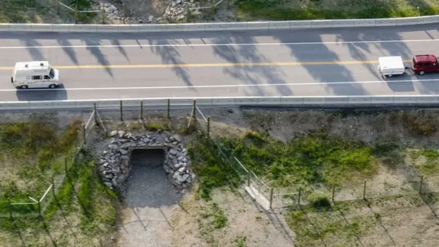 地下通道,比如加拿大的這條,足以為許多大型動物提供安全通道