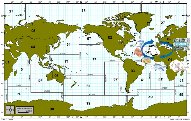 Carte montrant comment les e-polluants se retrouvent dans le poisson consommé en Europe