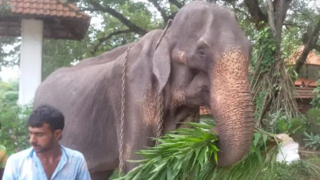 ටිකිරි - ප්‍රතිකාර දීමෙන් පසු