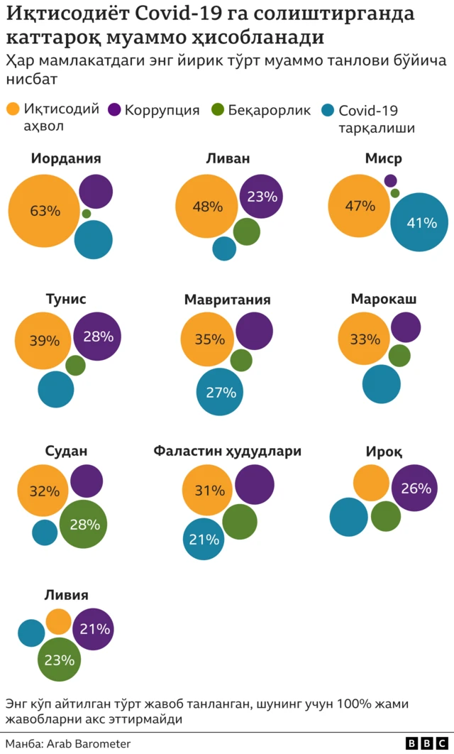 Араб Барометри 4