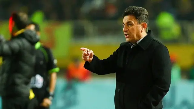 امیر قلعه‌نویی