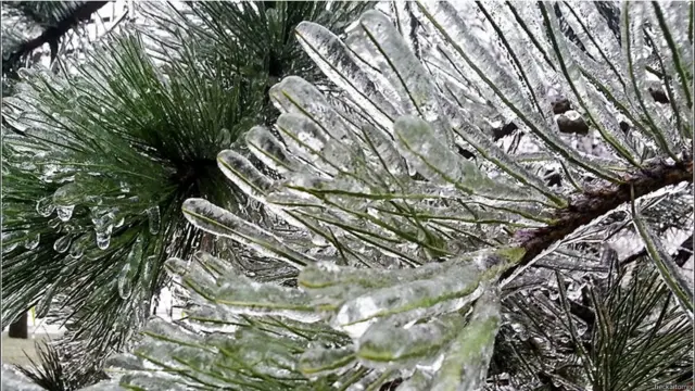 Иголки во льду