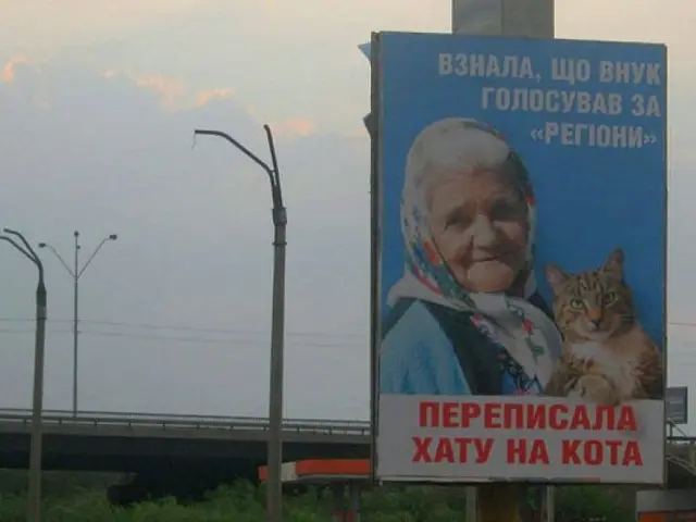 На парламентских выборах 2012 года антиреклама с бабушкой и котом стала настоящим мемом