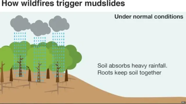 ਕੈਲੀਫੋਰਨੀਆ ਵਿੱਚ ਗਾਰੇ ਦੇ ਹੜ੍ਹ