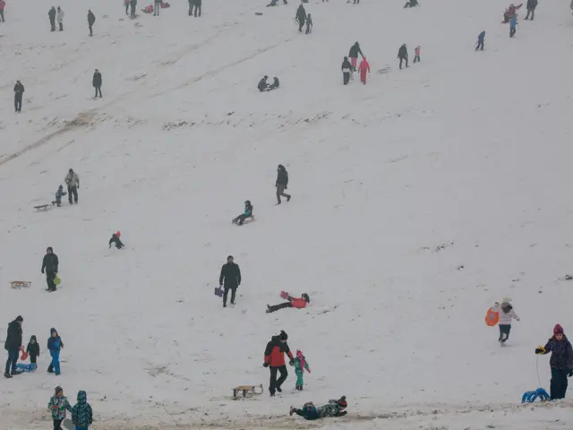 sneg, zima, košutnjak, sankanje