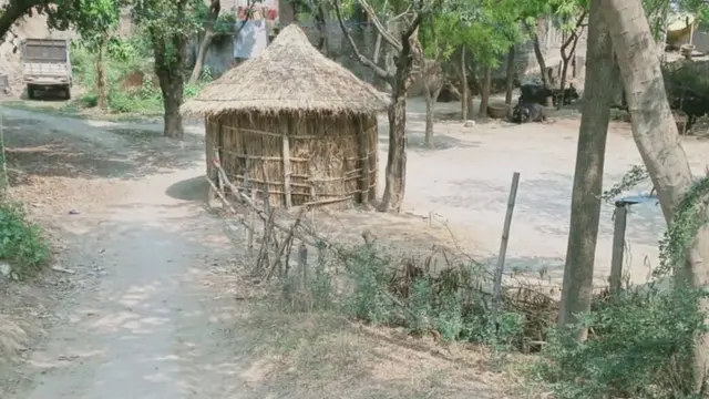 बिहार, उत्तर प्रदेश, कोरोना