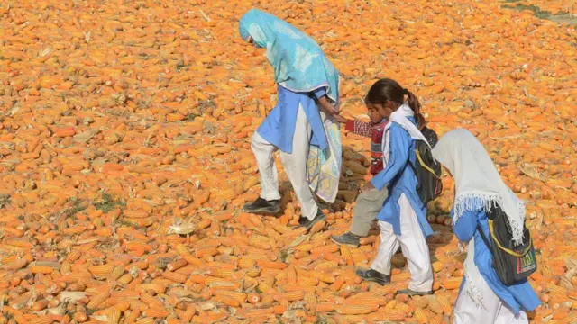 सांकेतिक तस्वीर