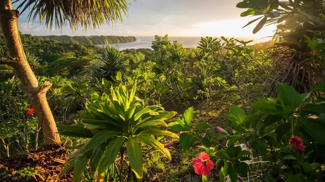 Ilha paradisiaca