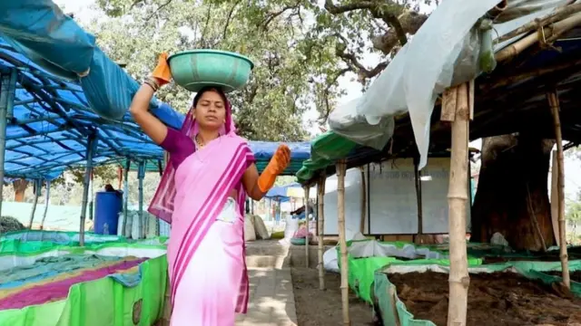 गोबार ख़रीदेगी छत्तीसगढ़ सरकार, गोमूत्र ख़रीदी