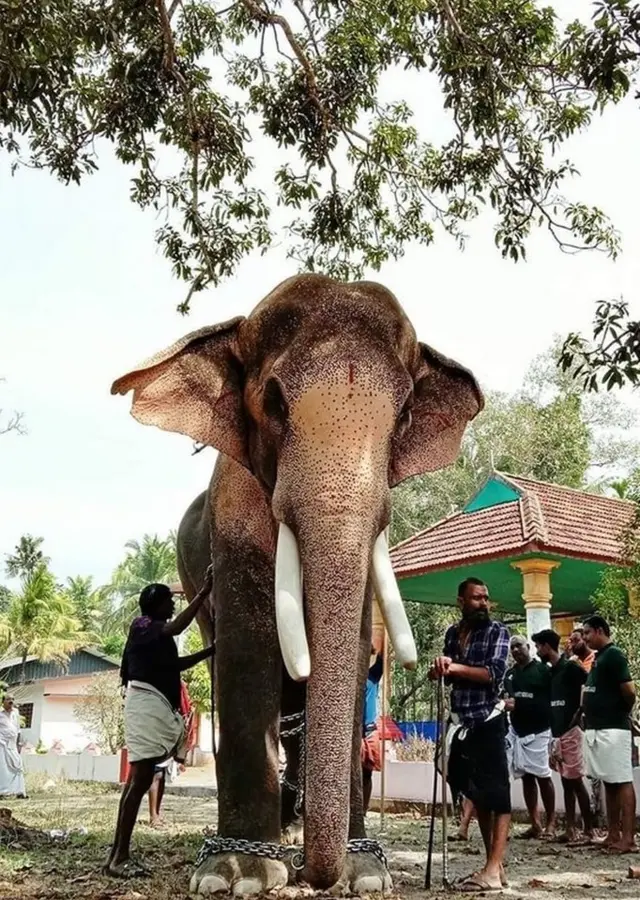 ਰਾਮਚੰਦਰਨ