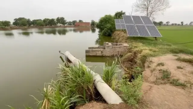 ਪਾਕਿਸਤਾਨੀ ਪੰਜਾਬ ਦੇ ਖੇਤ