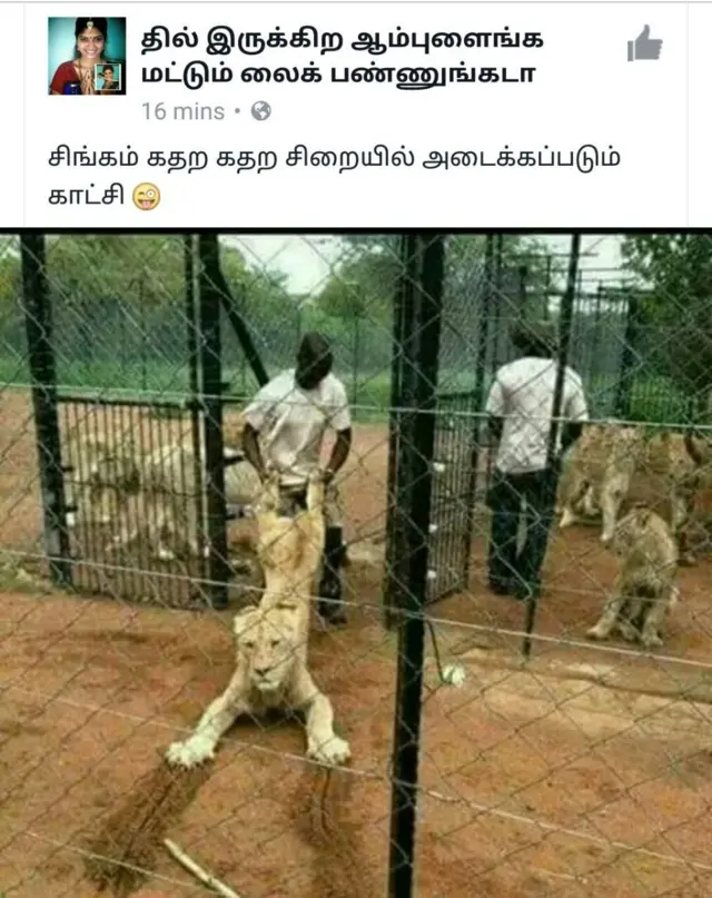 சமூக ஊடகங்களில் வலம் வரும் மீம்கள்