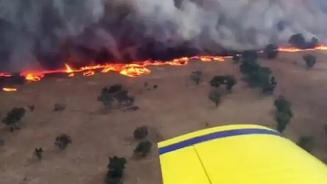 ऑस्ट्रेलिया के जंगलों में आग