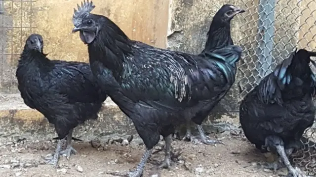 प्रातिनिधिक फोटो