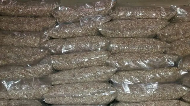 मार्सी चामलका प्याकेट