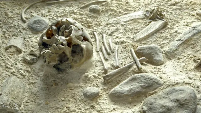 Neandertal kalıntıları