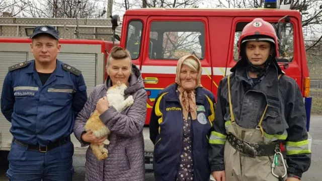 Врятований кіт