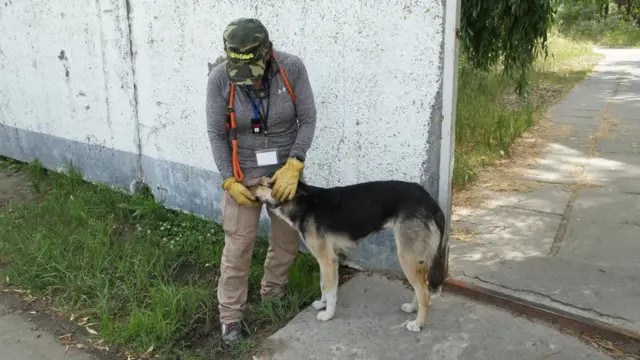 Волонтерка з собакою