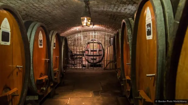 ઈ.સ. 1395થી સિવિલ હૉસ્પિટલ અને શરાબ વચ્ચેનો સંબંધ