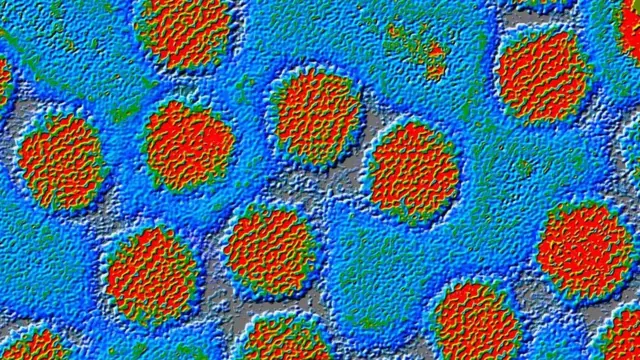 استفاده از ویتامین ث به ما حتی برای مقابله با سرماخوردگی کمک نمی‌کند