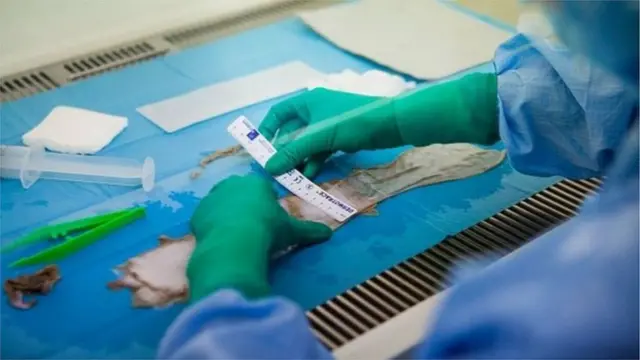 ప్రతీకాత్మక చిత్రం