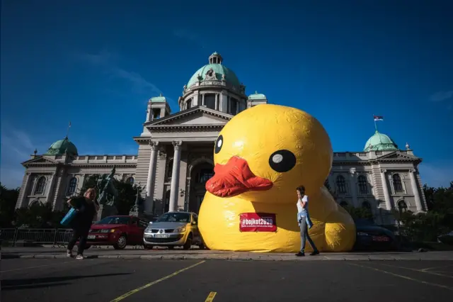 เป็ดยางสีเหลืองถูกนำกลับมาใช้เป็นสัญลักษณ์ในการเคลื่อนไหวทางการเมืองโดยกลุ่ม Let Us Not Drown Belgrade อีกครั้งที่หน้าอาคารรัฐสภากลางเมืองหลวง