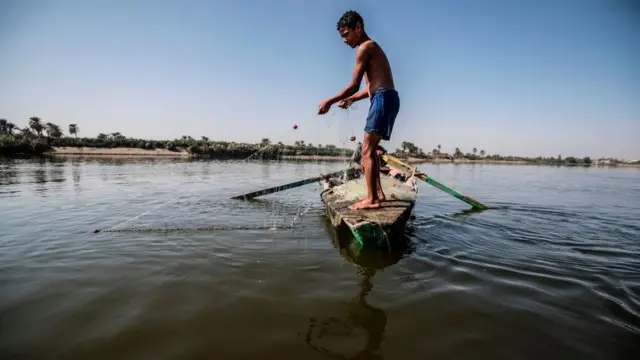 A young Egyptian fisherman pulls his net in the River Nile in Gabal al-Tear village near Minya city, some 265 km south of the Egyptian capital Cairo, on November 13, 2019