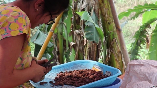 स्थानीय महिला