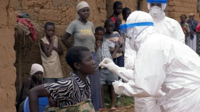 ไวรัสมาร์เบิร์ค