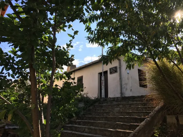 Музеј Тимочке буне у Бољевцу