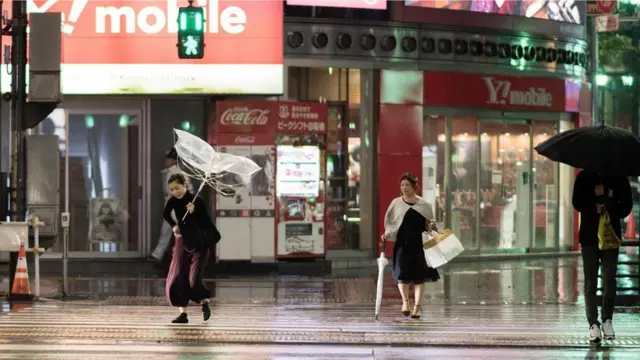 أشجار يابانية عتيقة "تتنبأ" بالمستقبل