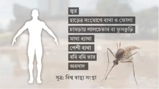 চিকুনগুনিয়ার উপসর্গ